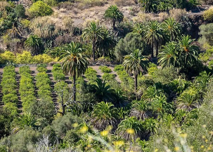 Iguazu Playa del Ingles (Gran Canaria)